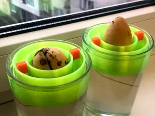 Avokado Çekirdek Yüzdürücü — Dayanıklı Plastik