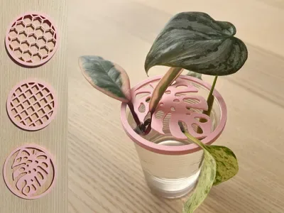 Bitki Çoğaltma Kapağı — Dayanıklı Plastik