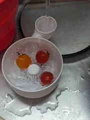 Delikli Yıkama Kâsesi — Dayanıklı Plastik
